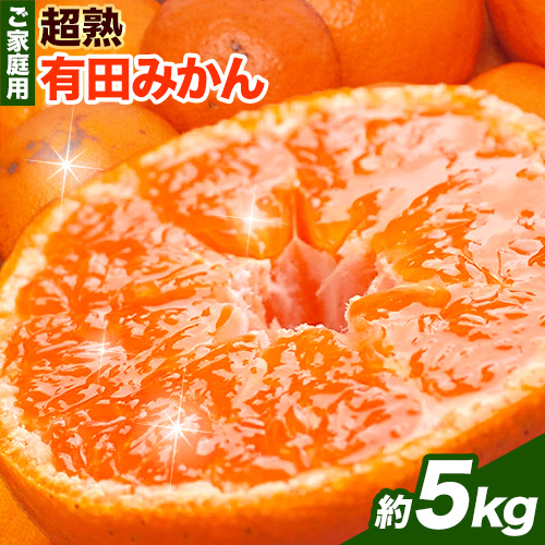 ＜先行予約＞家庭用 超熟 有田 みかん 5kg+150g（傷み補償分）【わけあり・訳あり】【光センサー選果】池田鹿蔵農園@日高町（池田農園株式会社）《11上旬-12末頃出荷》和歌山県 日高町【配送不可地域あり】みかん 有田みかん 508736 - 和歌山県日高町