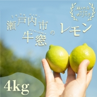 瀬戸内 牛窓産 レモン 約4kg（1果 100g前後）