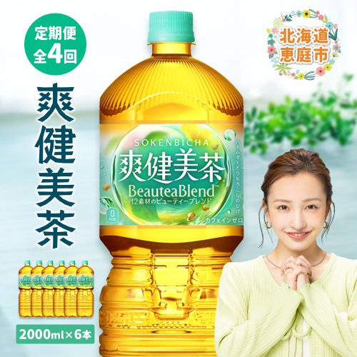 『定期便：全4回』爽健美茶2L×6本【38002001】 510191 - 北海道恵庭市