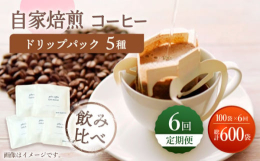 【ふるさと納税】【飲み比べ】【6回定期便】ドリップバック 自家焙煎コーヒー 100袋（5種類×20袋） ＜giko coffee＞ [CFK039]