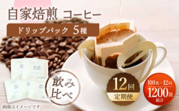 【ふるさと納税】【飲み比べ】【12回定期便】ドリップバック 自家焙煎コーヒー 100袋（5種類×20袋） ＜giko coffee＞ [CFK040]