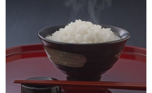 【新米】【7年産】近江米　にこまる白米【10kg【5kg×2袋）】【V018W】 51102 - 滋賀県近江八幡市