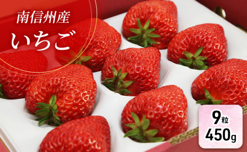 【特選贈答用】南信州産「いちご」（9粒・450g）【信州駒ヶ根いちご園】 果物類 苺 イチゴ 51106 - 長野県駒ヶ根市