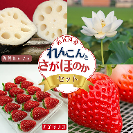 佐賀県産 れんこんと紅白いちごのセット：B240-008