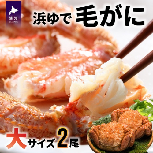 【今が旬！】漁協の浜ゆで毛がに 大サイズ２尾セット※日付指定対応不可※[02-776] 511673 - 北海道浦河町