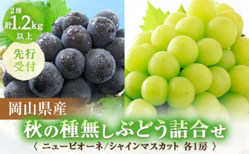 ◆先行受付◆　岡山県産　秋の種無しぶどう詰合せ　2025年発送【1349783】