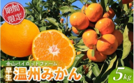 [テレビで紹介されました] みかん 金山パイロットファーム 温州みかん 5kg (早生) みかん ミカン 温州みかん 早生みかん 早生温州 フルーツ 果物 くだもの 柑橘 産地直送 数量限定 人気 国産 三重県 熊野市[knpr0014]