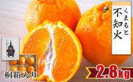 【 贈答用 ・ 桐箱 】 不知火 約2.8kg （ 6玉程度 ） | フルーツ 果物 くだもの 柑橘 みかん ミカン しらぬい ギフト 熊本県 玉名市