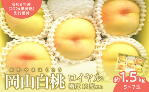 【令和5年産(2023年発送)先行受付】岡山白桃(ロイヤル)約1.5kg 512338 - 岡山県備前市