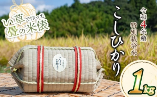 【令和４年産】い草で作った畳の米俵　特別栽培米コシヒカリ　1㎏　黒川まるいし農場
