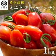 ミニトマト（マドンナ）約1kg ミニトマト マドンナ とまと リコピン トマト 野菜 [AY08-NT]