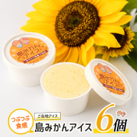 島みかんアイス(6個)【レガーレ・ワキタ】waki-7329