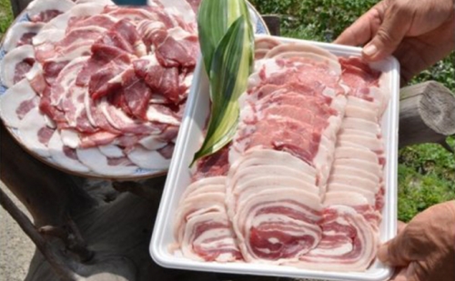 自然の恵み【五名産猪肉】700g 51292 - 香川県東かがわ市