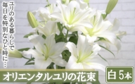【産直】オリエンタルユリの花束【白5本】　【11218-0532】