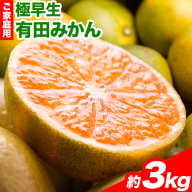 [先行予約]家庭用 極早生有田みかん3kg+90g(傷み補償分)[YN26・ゆら早生][わけあり・訳あり]池田鹿蔵農園@日高町(池田農園株式会社)[9月中旬-11月中旬頃出荷]和歌山県 日高町