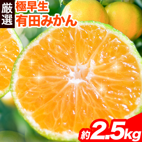 ＜先行予約＞厳選　極早生有田みかん2.5kg+250g（傷み補償分）【YN26・ゆら早生】池田鹿蔵農園@日高町（池田農園株式会社）《2026年10月上旬-11月中旬頃出荷》和歌山県 日高町 513106 - 和歌山県日高町