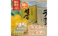 R220-22デコポン・甘夏缶詰セット（10缶入）×2セット【期間限定】