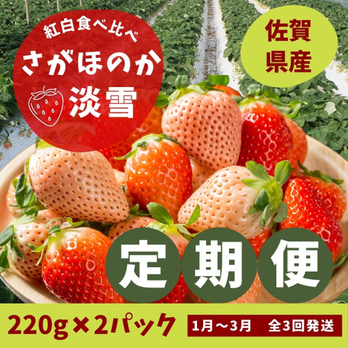 【定期便3回】佐賀県産 紅白いちご食べ比べ 1～3月発送：B395-010 513278 - 佐賀県佐賀市