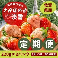 [定期便3回]佐賀県産 紅白いちご食べ比べ 1〜3月発送:B042-009