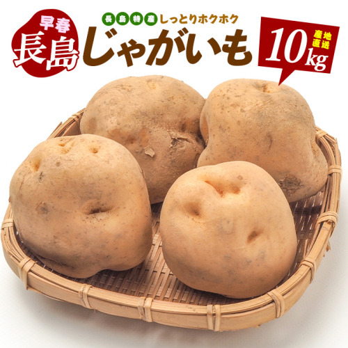 長島町特産早春バレイショ(10kg)鹿児島県 長島町 じゃがいも ばれいしょ 芋 早春【鹿児島いずみ農業協同組合】ja-4081R7 51327 - 鹿児島県長島町