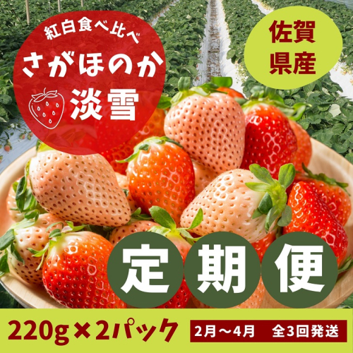 【定期便3回】佐賀県産 紅白いちご食べ比べ 2～4月発送：B395-011 513284 - 佐賀県佐賀市