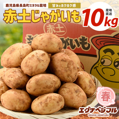 【先行予約】早春長島のミネラル栽培ジャガイモ(10kg)【エグチベジフル株式会社】eguchi-7021 51330 - 鹿児島県長島町