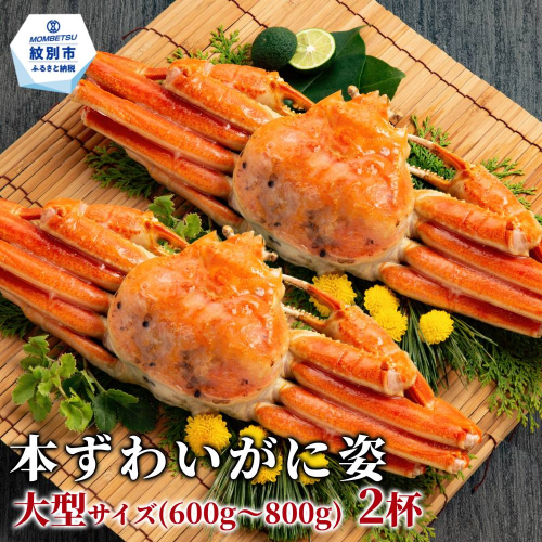 22-153 本ずわいがに姿 大型サイズ2杯 約600～800g 513336 - 北海道紋別市