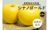 YN16-24A りんご シナノゴールド 約5kg 減農薬栽培 秀品／10月下旬頃から配送予定