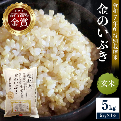 令和7年産米 冷めても美味しい玄米 特別栽培米 金のいぶき 5kg 玄米 米 農家直送 受賞歴多数 ＼自然由来の漢方栽培／ ふるさと 人気 ランキング【渡部 浩見】[B9-2101] 513526 - 秋田県湯沢市