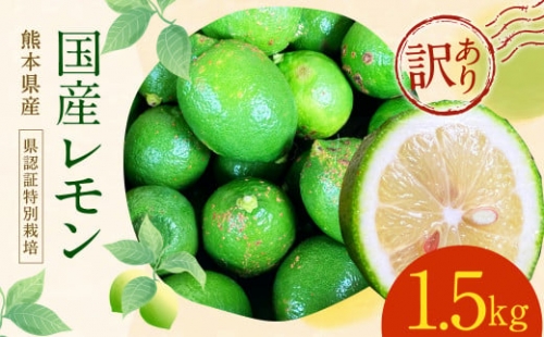【訳あり】国産レモン 1.5kg (県認証特別栽培) 防腐剤・ワックス不使用