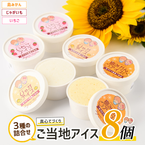 長島ご当地アイスセット(8個)【レガーレ・ワキタ】waki-7333 51420 - 鹿児島県長島町
