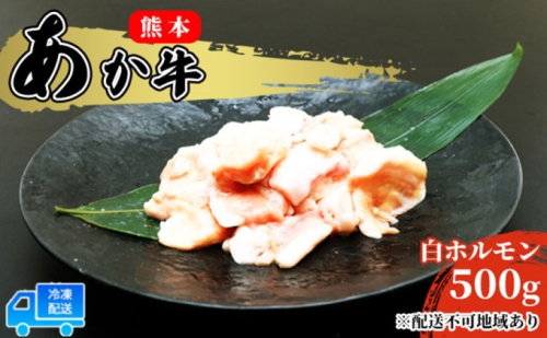 あか牛 赤牛 熊本 和牛 肥後 赤牛 白ホルモン 500g (250g×2パック) 牛肉 肉 お肉 配送不可:離島 牛ホルモン 国産 日本産 熊本県産 柔らかい 食感 ぷりぷり ホルモン焼き もつ鍋 もつ煮込 鍋料理 冬 つまみ  514491 - 熊本県錦町