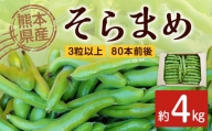 [2024年4月上旬発送開始] 熊本県産 そらまめ [約4kg 3粒以上 80本前後] 野菜