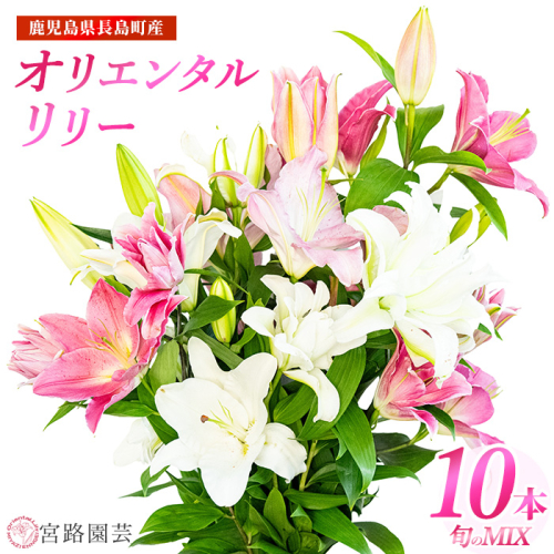 オリエンタルリリー（ユリ）旬のミックス 10本 ユリ 花 ユリの花 百合 ゆり 生花 切花 切り花 【宮路園芸】miyaji-7005 51502 - 鹿児島県長島町