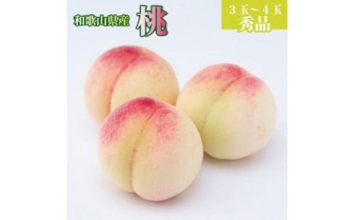 和歌山県産 桃 3玉～4玉 約1kg 秀品［US54］ 515249 - 和歌山県那智勝浦町