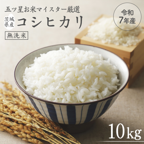 《 令和7年産 》茨城県産 無洗米 コシヒカリ 10kg ( 5kg × 2袋 ) こしひかり 米 コメ こめ 五ツ星 高品質 白米 精米 時短 期間限定 515932 - 茨城県牛久市