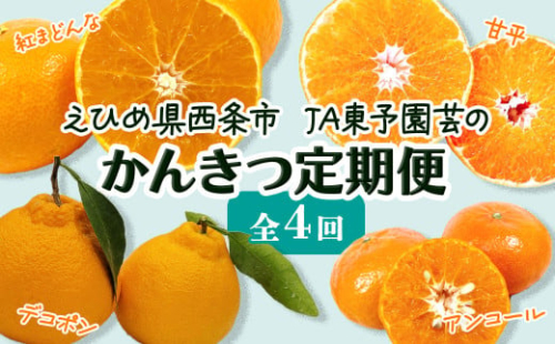 【先行予約】えひめ西条 JA東予園芸の「かんきつ定期便（全４回）」紅まどんな 甘平 アンコール デコポン【オンライン決済限定】