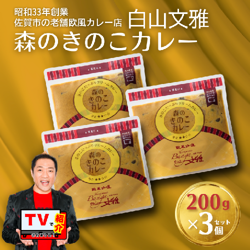 白山文雅 森のきのこカレー３個セット：B140-052 516402 - 佐賀県佐賀市