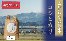 【ふるさと納税】北本農場こだわりのお米令和5年度産コシヒカリ精米5kg漢方肥料米