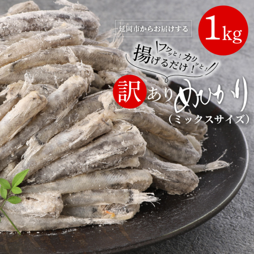 訳あり 国産 めひかり唐揚げ ミックスサイズ 1kg A0226 516586 - 宮崎県延岡市