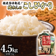 《 特別栽培米 》 令和5年産 精米日出荷 関さんの「 こしひかり 」 4.5kg ( 玄米時 5kg ) 新鮮 コシヒカリ 精米 米 こめ コメ 特別栽培農産物 認定米
