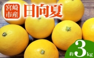 期間限定 数量限定 宮崎を代表する春の柑橘!宮崎市産 日向夏 約3kg