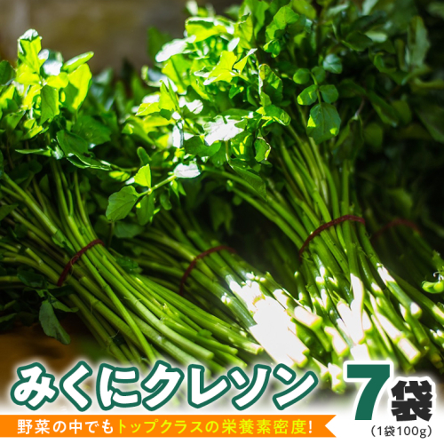 【 先行予約 】 みくにクレソン100g×7袋 美容 健康 野菜 スーパーフード クレソン [CY002ci] 517451 - 茨城県筑西市