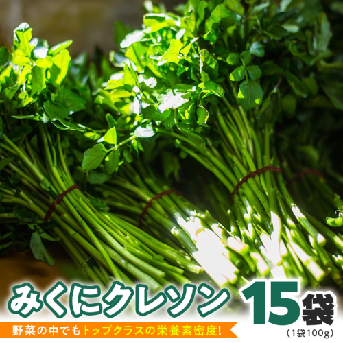 【 先行予約 】 みくにクレソン100g×15袋 美容 健康 野菜 スーパーフード クレソン [CY004ci] 517453 - 茨城県筑西市