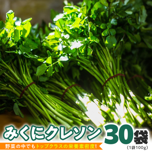 再追加販売 ふるさと納税 みくにクレソン100g×30袋 美容 健康 野菜