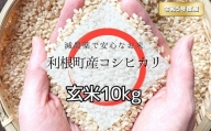 【減農薬】利根町産コシヒカリ　玄米10kg