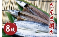 さんま開き （8枚） 干物 国産 サンマ 秋刀魚 熊野市