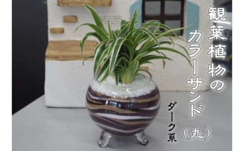 カラーサンド（ガラス花器：丸）ダーク系 植物 インテリア 飾り 緑 グリーン 部屋 玄関 キッチン 洗面所 丸型 グリーンインテリア  518567 - 福岡県朝倉市