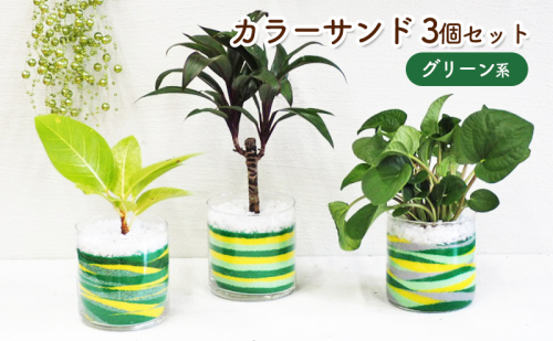 カラーサンド 3個 セット グリーン系 植物 インテリア ガーデン  518571 - 福岡県朝倉市