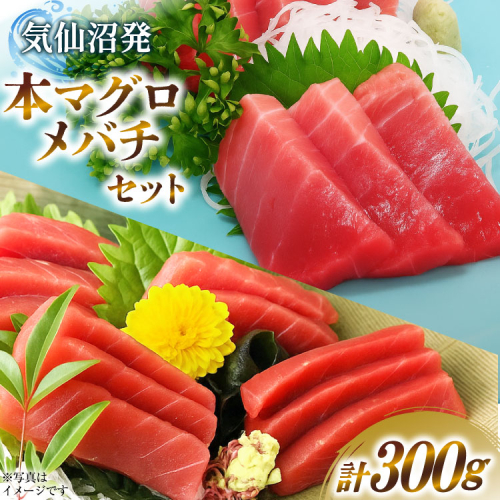 本マグロ・メバチセット [川印　村田漁業 宮城県 気仙沼市 20563739]魚 海鮮 魚介 まぐろ 鮪 メバチマグロ 刺身 本マグロ 518586 - 宮城県気仙沼市
